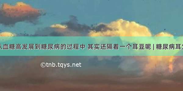 从血糖高发展到糖尿病的过程中 其实还隔着一个耳豆呢 | 糖尿病耳穴