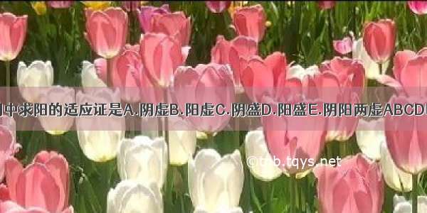 阴中求阳的适应证是A.阴虚B.阳虚C.阴盛D.阳盛E.阴阳两虚ABCDE