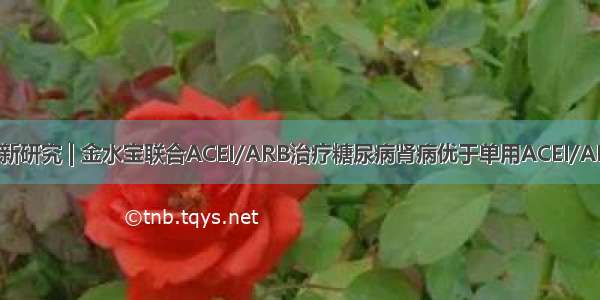 最新研究 | 金水宝联合ACEI/ARB治疗糖尿病肾病优于单用ACEI/ARB