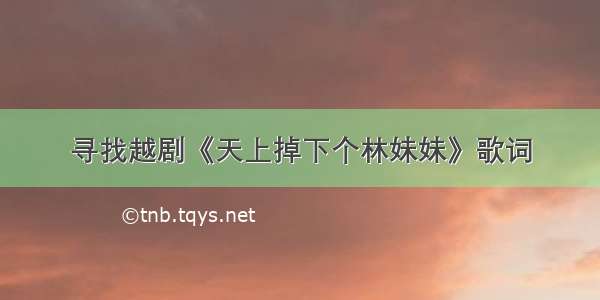 寻找越剧《天上掉下个林妹妹》歌词