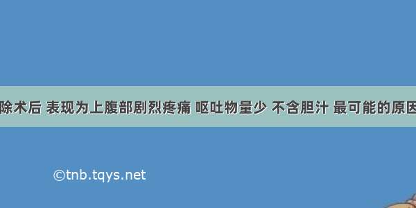 胃大部切除术后 表现为上腹部剧烈疼痛 呕吐物量少 不含胆汁 最可能的原因是A.碱液