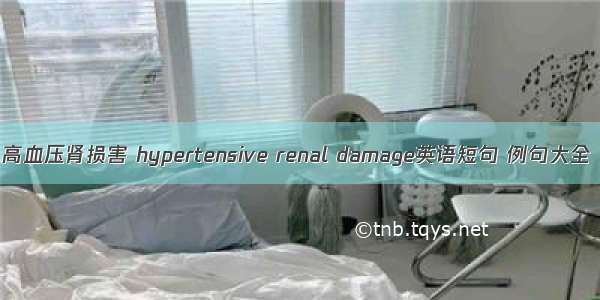 高血压肾损害 hypertensive renal damage英语短句 例句大全