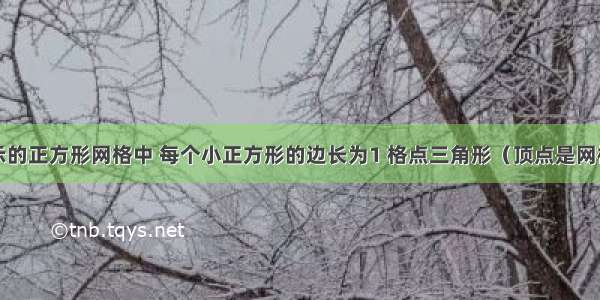 在如图所示的正方形网格中 每个小正方形的边长为1 格点三角形（顶点是网格线的交点