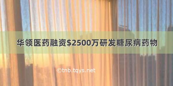 华领医药融资$2500万研发糖尿病药物