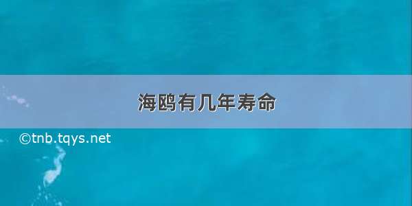 海鸥有几年寿命