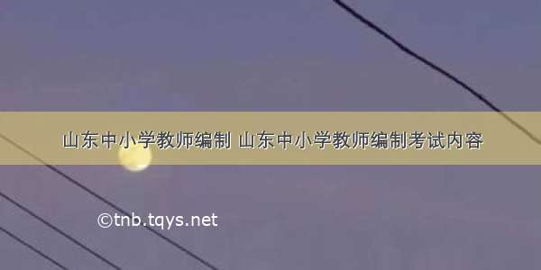 山东中小学教师编制 山东中小学教师编制考试内容