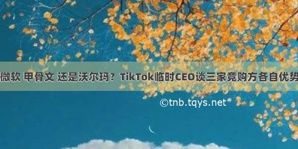 微软 甲骨文 还是沃尔玛？TikTok临时CEO谈三家竞购方各自优势