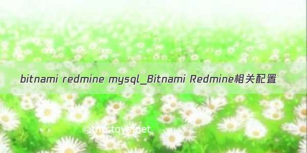 bitnami redmine mysql_Bitnami Redmine相关配置