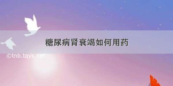 糖尿病肾衰竭如何用药