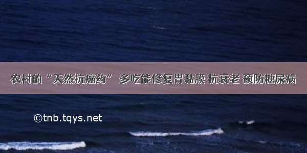 农村的“天然抗癌药” 多吃能修复胃黏膜 抗衰老 预防糖尿病