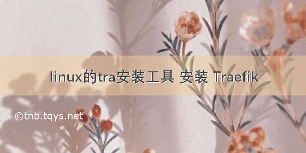 linux的tra安装工具 安装 Traefik