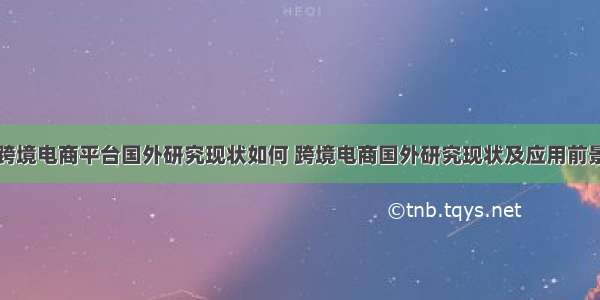 跨境电商平台国外研究现状如何 跨境电商国外研究现状及应用前景