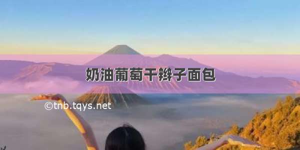 奶油葡萄干辫子面包