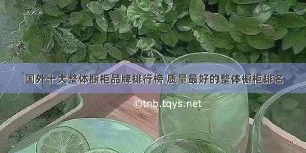 国外十大整体橱柜品牌排行榜 质量最好的整体橱柜排名