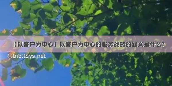 【以客户为中心】以客户为中心的服务战略的涵义是什么?