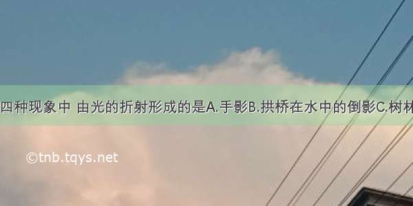 如图所示的四种现象中 由光的折射形成的是A.手影B.拱桥在水中的倒影C.树林间的光线D.