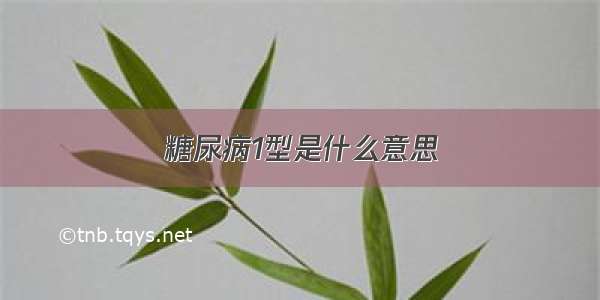 糖尿病1型是什么意思