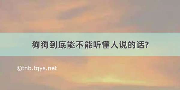 狗狗到底能不能听懂人说的话?