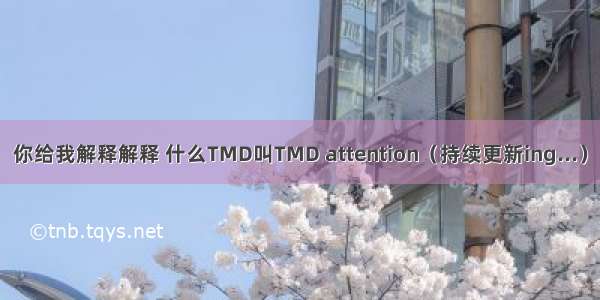 你给我解释解释 什么TMD叫TMD attention（持续更新ing...）