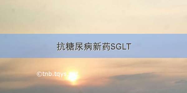 抗糖尿病新药SGLT