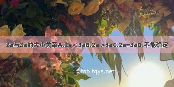 2a与3a的大小关系A.2a＜3aB.2a＞3aC.2a=3aD.不能确定