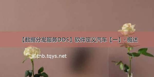 【数据分发服务DDS】软件定义汽车【一】- 概述