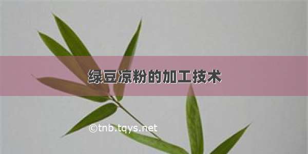 绿豆凉粉的加工技术