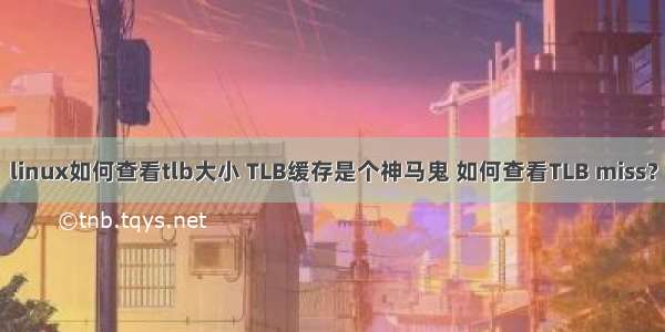 linux如何查看tlb大小 TLB缓存是个神马鬼 如何查看TLB miss？