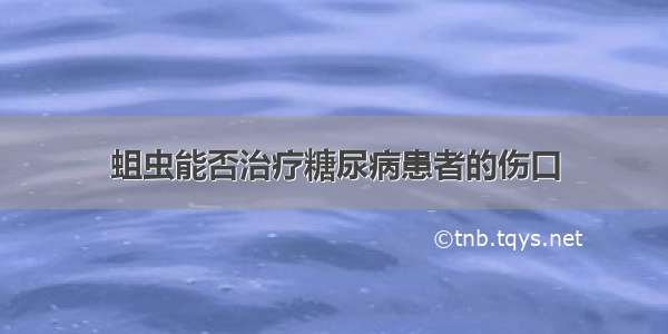 蛆虫能否治疗糖尿病患者的伤口