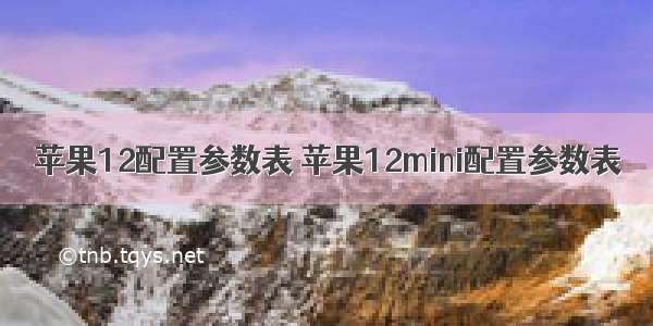 苹果12配置参数表 苹果12mini配置参数表