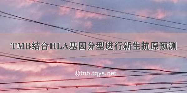 TMB结合HLA基因分型进行新生抗原预测