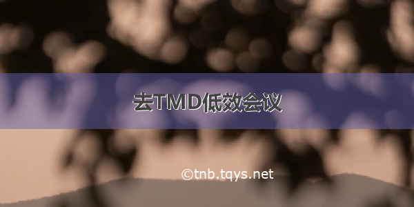 去TMD低效会议