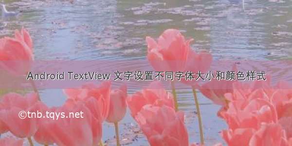 Android TextView 文字设置不同字体大小和颜色样式