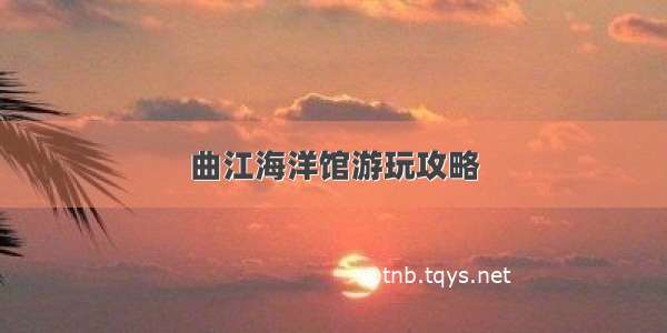 曲江海洋馆游玩攻略