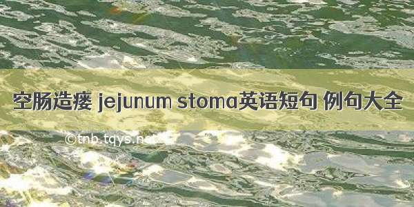 空肠造瘘 jejunum stoma英语短句 例句大全