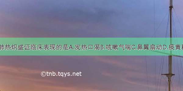 下列不属于肺热炽盛证临床表现的是A.发热口渴B.咳嗽气喘C.鼻翼扇动D.痰黄稠量多E.咽喉