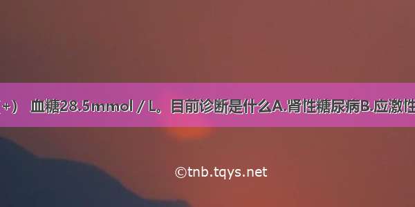 提示：尿酮（+） 血糖28.5mmol／L。目前诊断是什么A.肾性糖尿病B.应激性糖尿病C.甲状