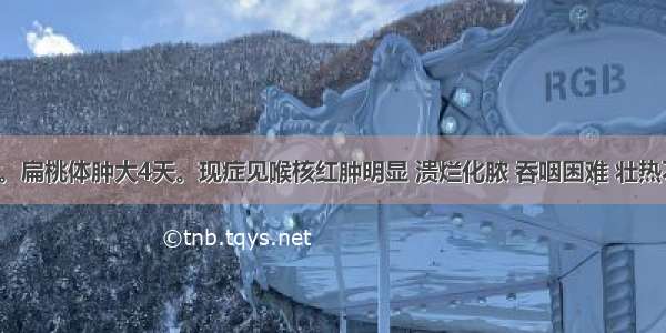 患儿 3岁。扁桃体肿大4天。现症见喉核红肿明显 溃烂化脓 吞咽困难 壮热不退 口干