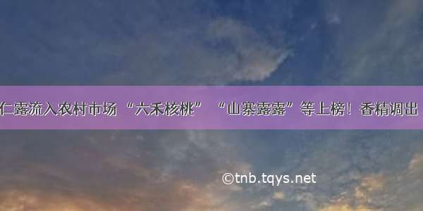 山寨承德杏仁露流入农村市场 “六禾核桃” “山寨露露”等上榜！香精调出“核桃花生”