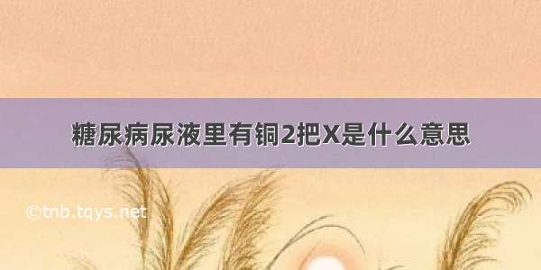 糖尿病尿液里有铜2把X是什么意思