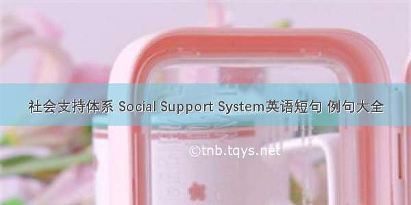 社会支持体系 Social Support System英语短句 例句大全