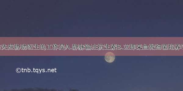 入院后护士首先应协助医生的工作是A.静脉输注抗生素B.立即采血做细菌培养C.静脉输注血