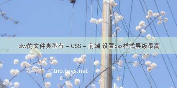 dw的文件类型有 – CSS – 前端 设置css样式层级最高