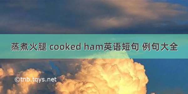 蒸煮火腿 cooked ham英语短句 例句大全