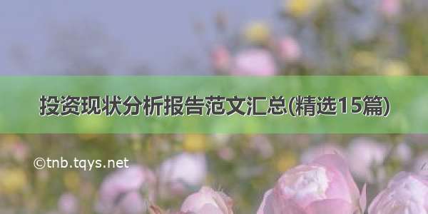 投资现状分析报告范文汇总(精选15篇)