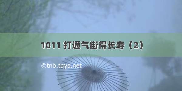 1011 打通气街得长寿（2）