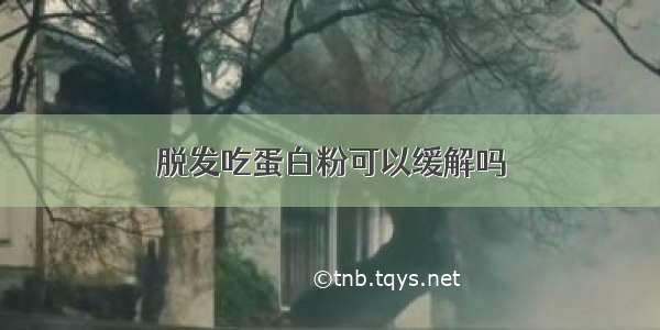 脱发吃蛋白粉可以缓解吗