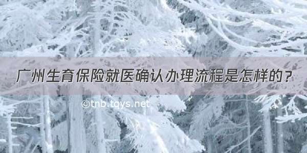 广州生育保险就医确认办理流程是怎样的？