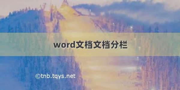 word文档文档分栏