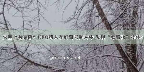 火星上有真菌？UFO猎人在好奇号照片中 发现“蘑菇状”物体！